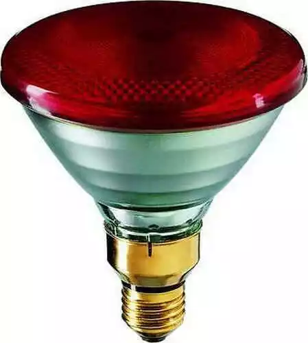 Philips PAR38 Halogen IR 175 Watt E27 240 Volt Red Wärmelampe Heizlampe Strahler