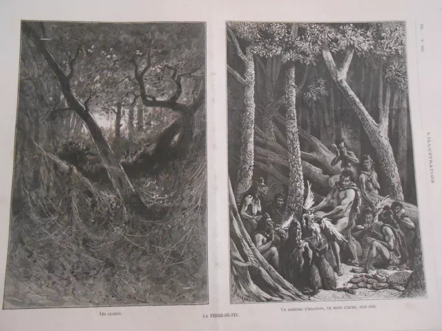 Gravure 1875 - La Nouvelle Calédonie Terre de Feu Les Lichens déjeuner Indigènes