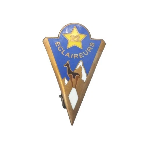 Ecusson Tissu 159 RAI - Insigne D'éclaireur Skieur, D'occasion, Quelques Usures