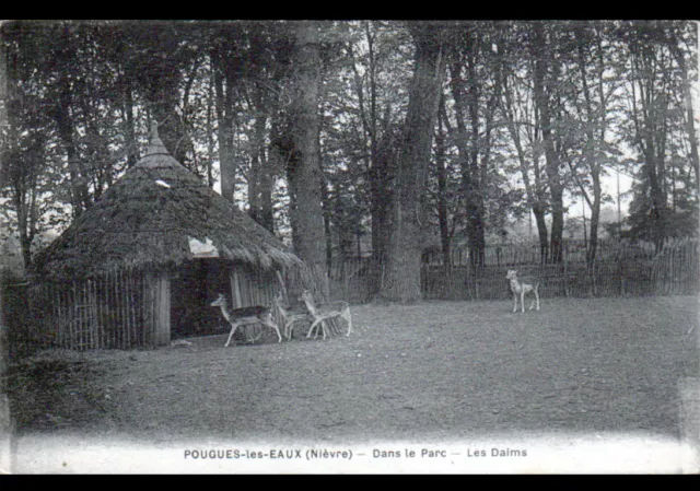 POUGUES-les-EAUX (58) DAIMS au PARC animalier début 1900