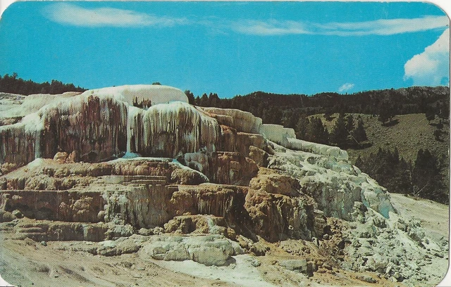 CO-Colorado Terraces At Mammoth Hot Springs YELLOWSTONE NATIONAL PARK Postcard