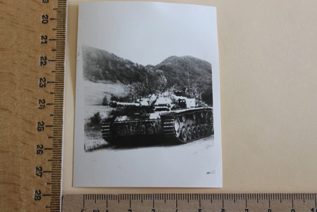FOTO PHOTO 2. Weltkrieg WK2 Panzer Stug Sturmgeschütz Langrohr Zweige ...