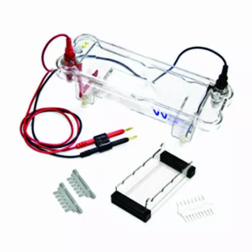 AjantaExports Electrophoresis Vertical Mini-Gel  Medical & Lab Equipment Devices 3