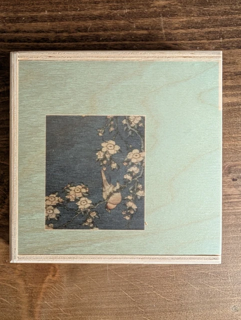 洋楽 Merzbow/Nine Studies Of Ephemeral...VOL5 Nine Studies of Ephemeral Resonance Volume 5 | Merzbow