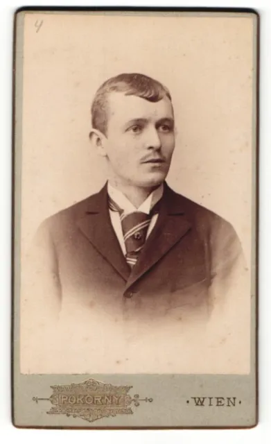 Fotografie Pokorny, Wien, Portrait junger Herr im Anzug mit Krawatte