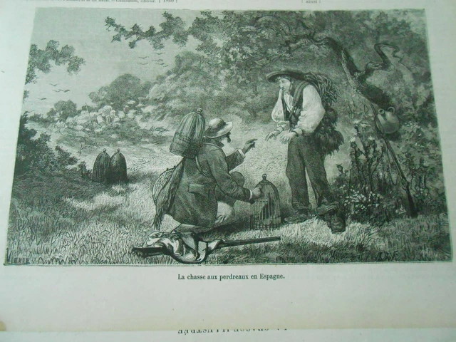 Gravure 19èm - La chasse aux perdreaux en Espagne