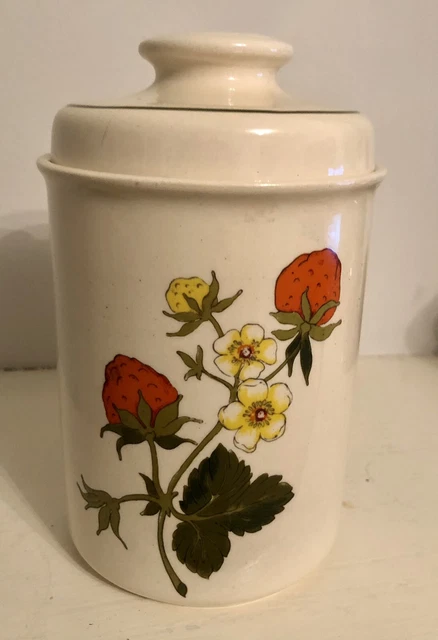 Vintage Royal Worcester Palissy Sommer Fayre Deckel Cannister Obst/Beeren
