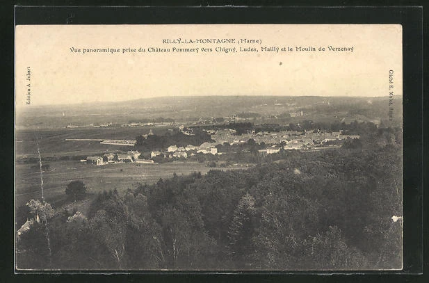 CPA Rilly-a-Montagne, Vue panoramique prise du Chateau Pommery vers Chigny, Lud