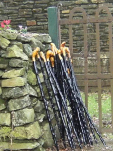 Irish Traditional Blackthorn Walking Stick