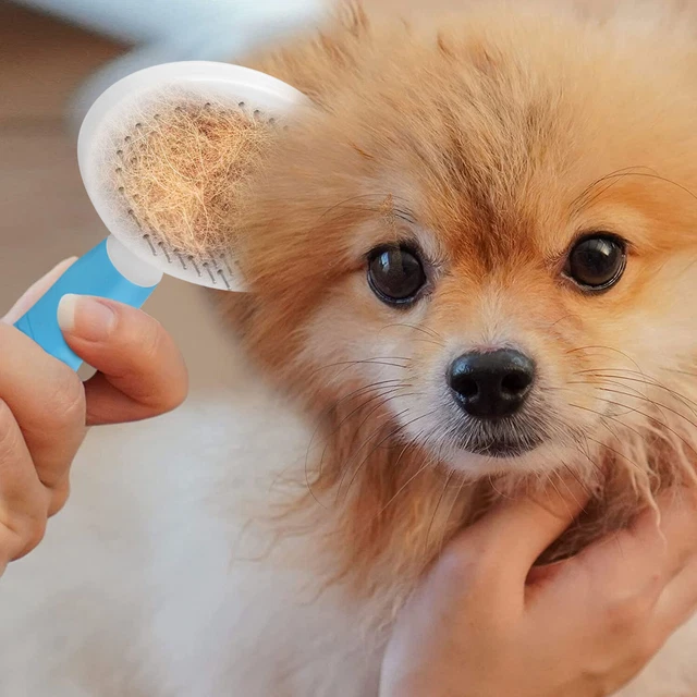 Pet Self Cleaning Brush Hair Remover Dog Cat Comb Grooming Massage Deshedding US 9