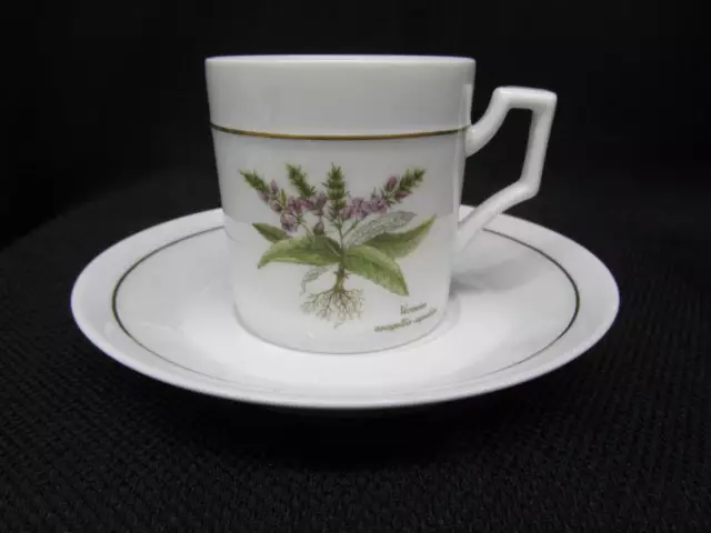 16pc Vintage Furstenberg Porcelain BOTANICAL Flat Demitasse Cup & Saucer Set 3