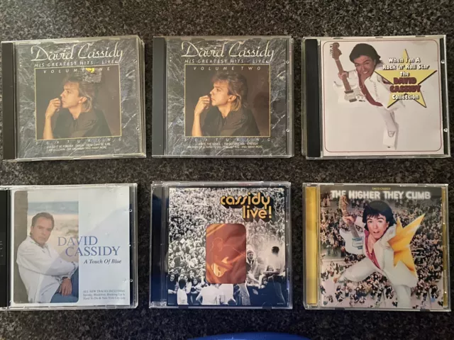 Lot Of 24 David Cassidy CDs. Used Rare