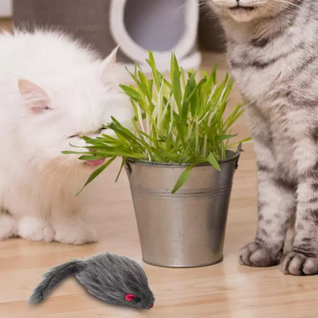 Jouets réalistes pour chat jouet pour animaux de compagnie réaliste en peluche
