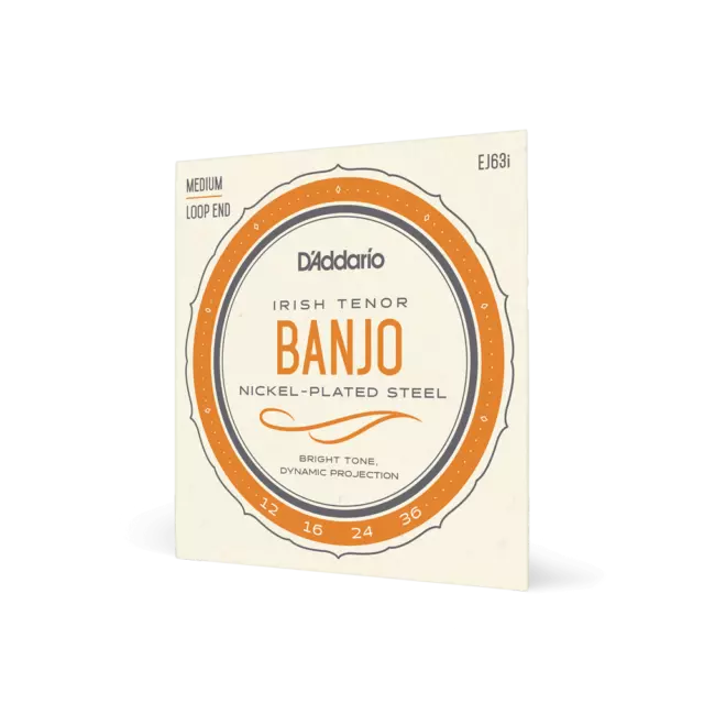 Irish Tenor Banjo Strings By D'Addario, EJ63i, 4 String Loop Ended Set