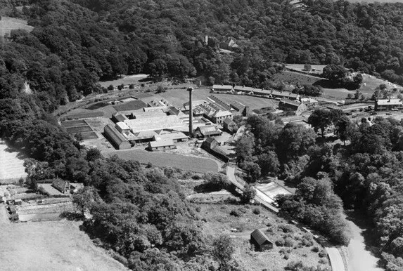 Henry Widnell & Stewart Ltd Carpet Factory, Roslin Scotland 1930s OLD PHOTO