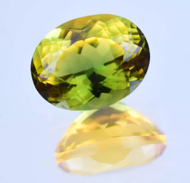 Natural Bi-Color Tourmaline 10.95 Ct Oval Cut Rare Certified Loose Gemstone