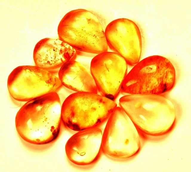 53.30 CTS NATURAL Honey Baltic Amber Rare Found Certified Untreated ...