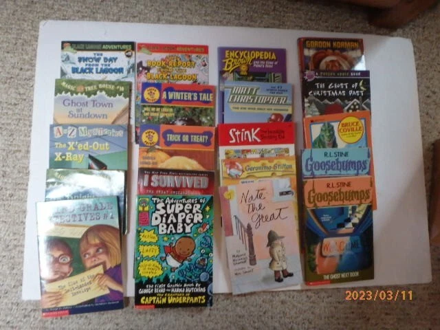 Lot of 20 Children's Chapter Reading Books levels 2 3 4 Accelerated Readers