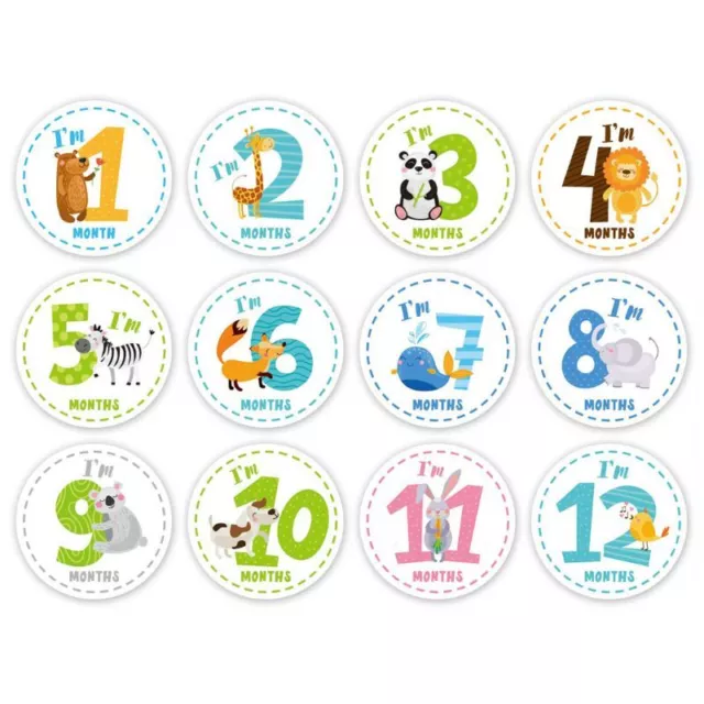 Month Stickers for Baby Boy Girl Print Set of 12 Unisex Colorful Cards