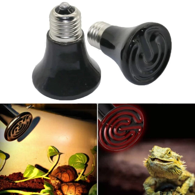 Ampoule émetteur de chaleur 1 pièce remplacement 220 V reptile noir couvain lu