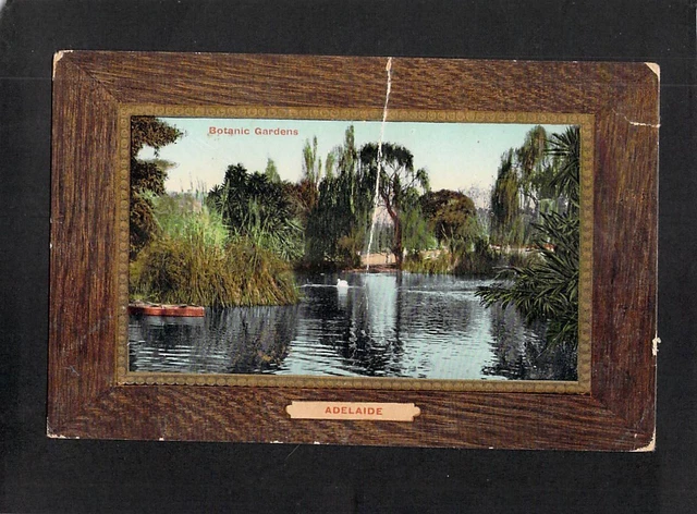 A7856 Australia SA Adelaide Botanic Gardens Pond vintage postcard