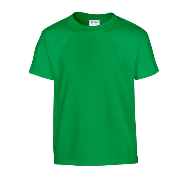 Gildan Childrens/Kids Plain Cotton Heavy T-Shirt (PC5946)