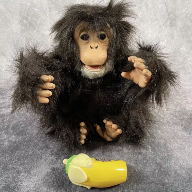 CHIMPANZÉ CÂLIN FURREAL Friends avec banane jouet électronique pour animaux  de compagnie interactif Hasbro EUR 58,39 - PicClick FR