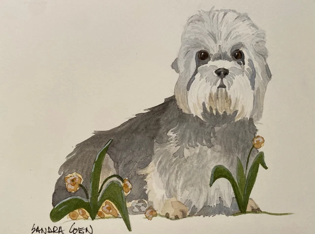 Dandie Dinmont Terrier pepper Original Watercolor Painting  by Sandra Coen