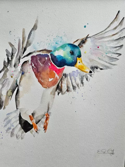 Large original signed watercolour art painting by Elle Smith of a Mallard Duck