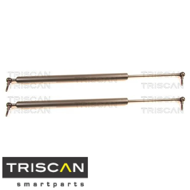 2 MOLLE A GAS per BAGAGLIAIO/VANO DI CARICO TRISCAN 871080201 COPRIFUOCO A GAS