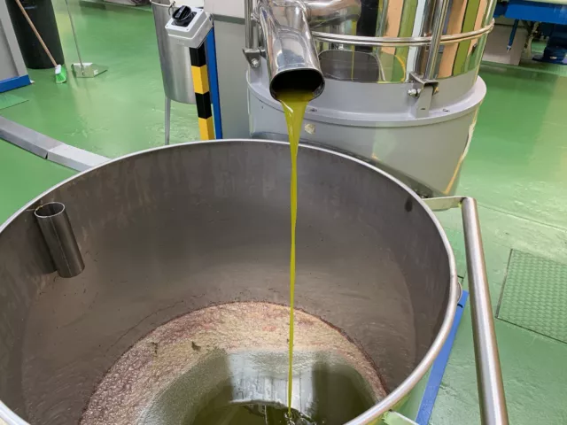 Olio extravergine di oliva 100% Italiano, Confezione Da 2 Latte X 5 Litri 3