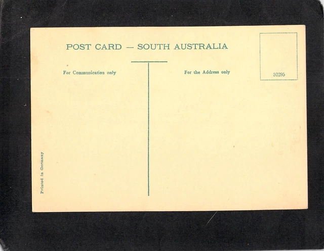 D4774 Australia SA Adelaide Elder Gardens River Torrens vintage postcard 2