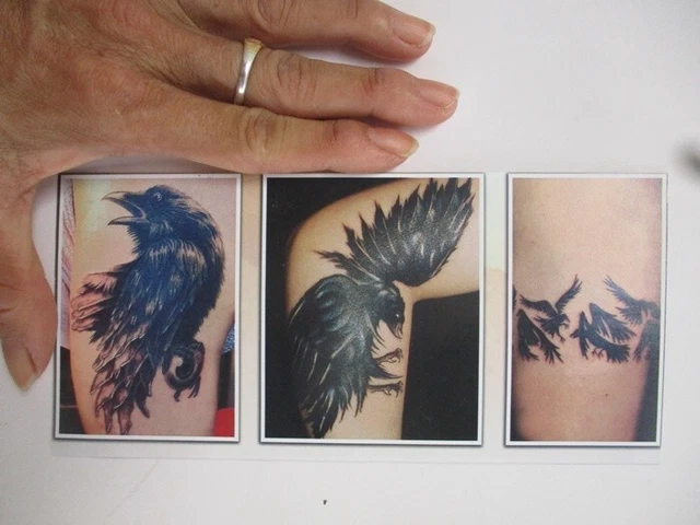 Negro Crovo Tatuaje Piel Arte Imagen Bicicleta Pájaro 3x7 1/4 pulgadas Impermeable Menú