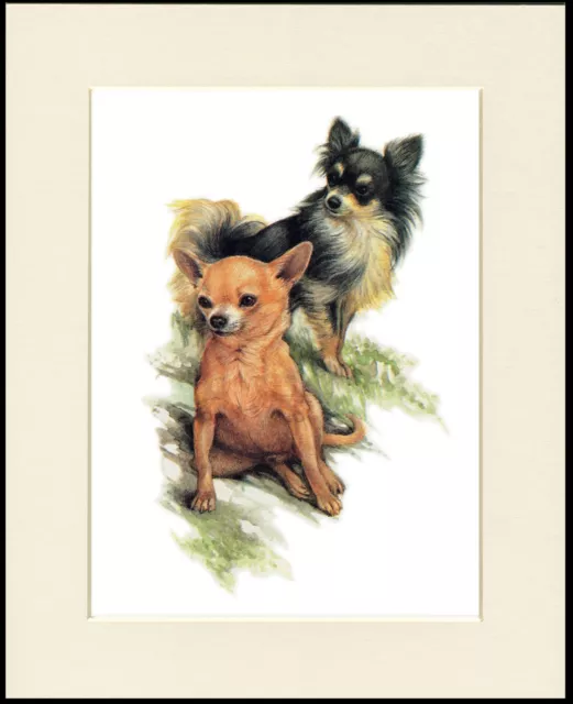 Chihuahua Two Little Dogs Charming Dog Print Mounted Ready To Frame