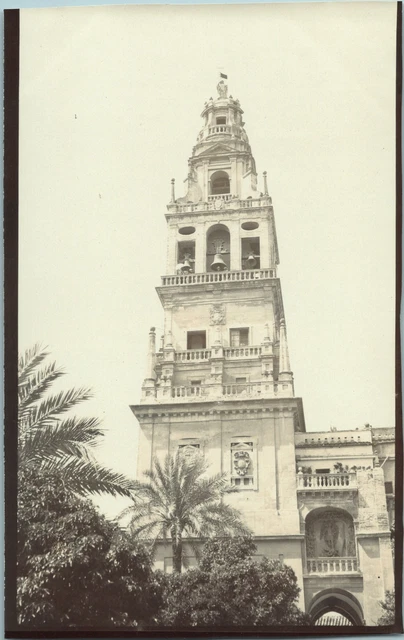 Tirage Citrate Vintage 1907 - Vue Sur La Cathédrale De Malaga, Espagne, Format 7x20 Cm