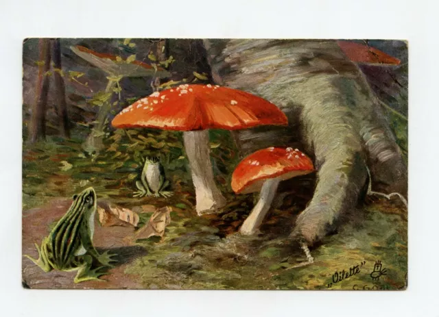 OILETTE . Grenouilles, Champignons . Frogs, Mushrooms