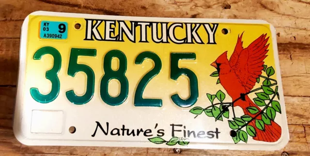 Kentucky Nature's Finest License Plate  Cardinal Bird - Excellent Condition...