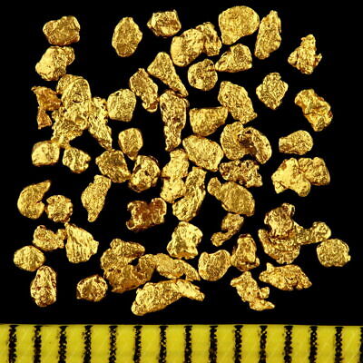 Gold Nugget Alaska Yukon pepite #330 ORO LINGOTTO MONETA COIN 