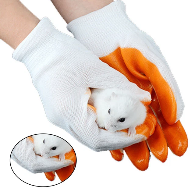 Guantes de manipulación de animales bolsa de unión para planeador de azúcar antiarañazos