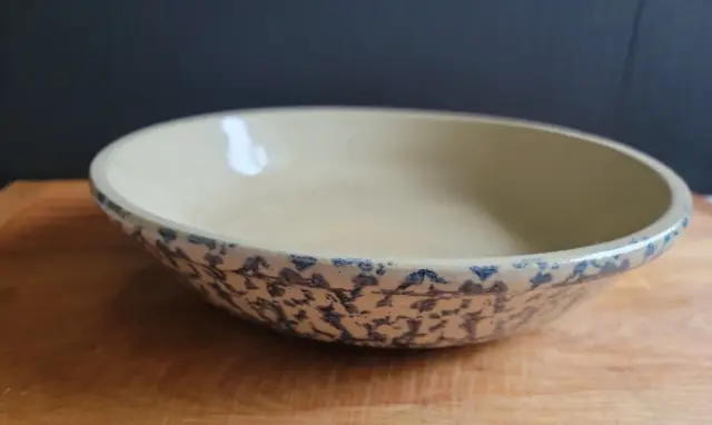 Roseville Robinson Ransbottom  Ohio Pottery Blue Spongeware 12" Pasta Bowl