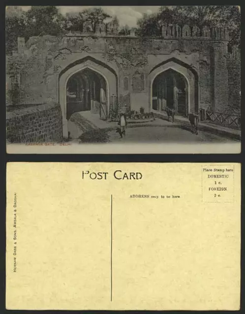 India Old Postcard Cashmere Kashmir Gate, Cattle, DELHI