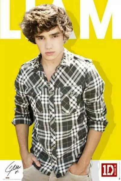 One Direction : Liam Yellow - Maxi Poster 61cm x 91.5cm nuevo y sellado