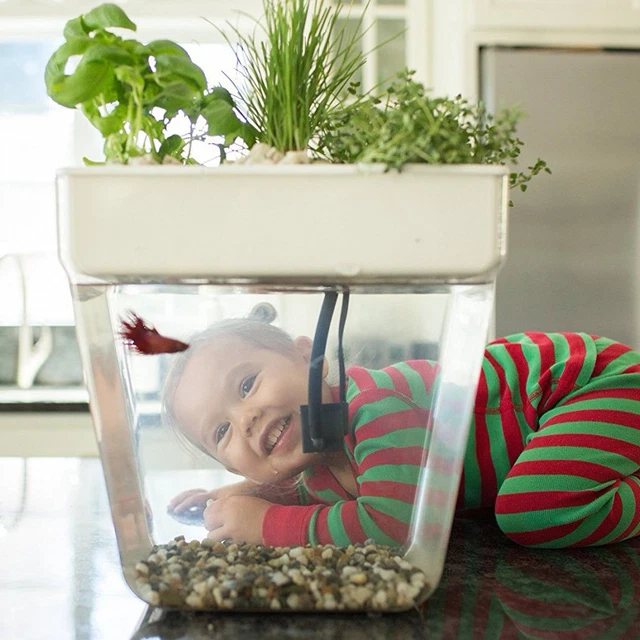 3 Gal. Self-Cleaning Fish Tank Aquarium 2