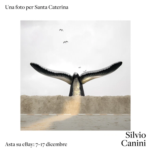 Cosa cerchi, il mare?, S. CANINI per S. Caterina