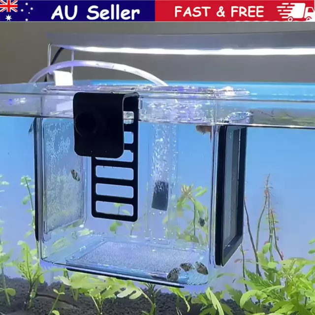 Acrylic Fish Tank Fish Breeding Isolation Box Clear Hanging Newborn Fry Breeder