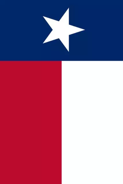 Texas Lone Star State Flag Cool Huge Large Giant Poster Art 36x54