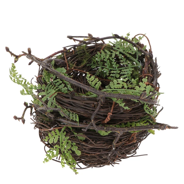 2 pièces Décor oeufs d'oiseaux Ornements d'oeufs de pâques