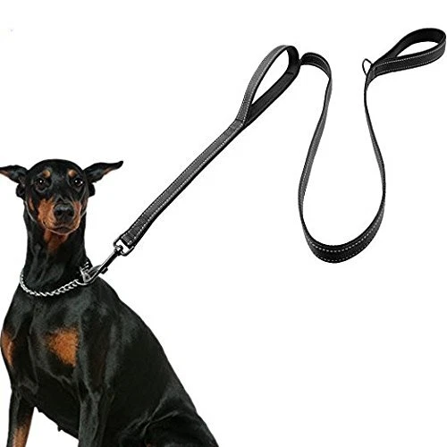 Laisse pour Gros Chien, Laisse Corde pour Chien avec Poignée Rembourrée Douce, H