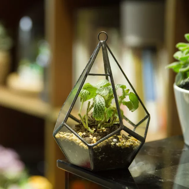 Modern Artistic Clear Hanging Air Planter Tear Diamond Glass Geometric Terrarium