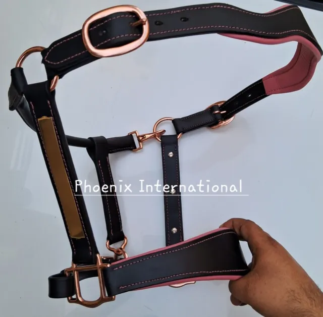 Anatomic Leather Halter Brass On-Nose Horses Pads
